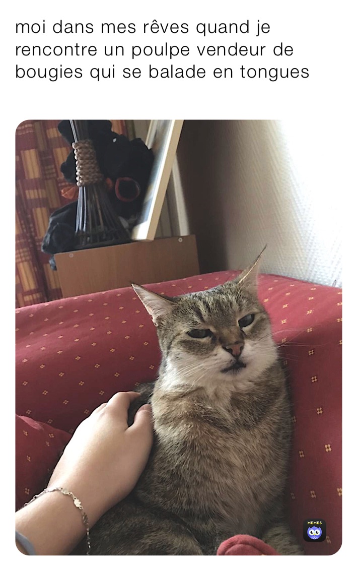 moi dans mes rêves quand je rencontre un poulpe vendeur de bougies qui se balade en tongues 
