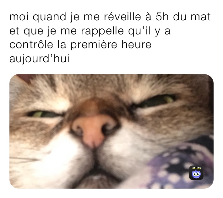 moi quand je me réveille à 5h du mat et que je me rappelle qu’il y a contrôle la première heure aujourd’hui 