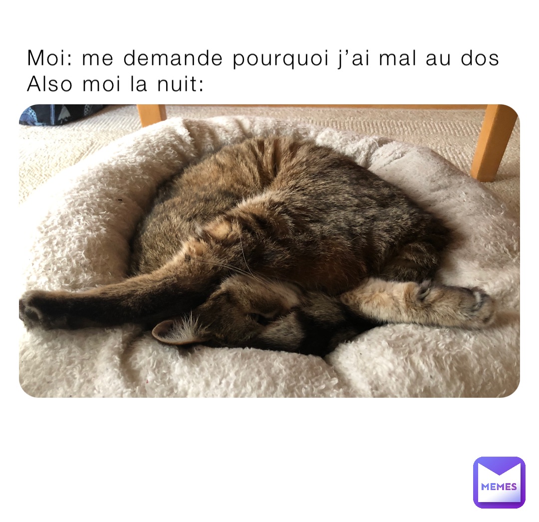 Moi: me demande pourquoi j’ai mal au dos 
Also moi la nuit: