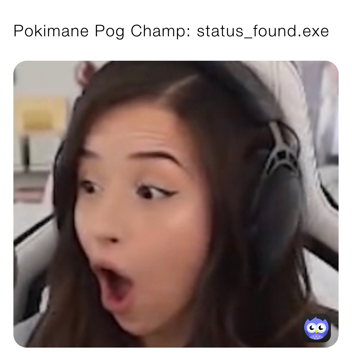 Pokimane Pog Champ: status_found.exe