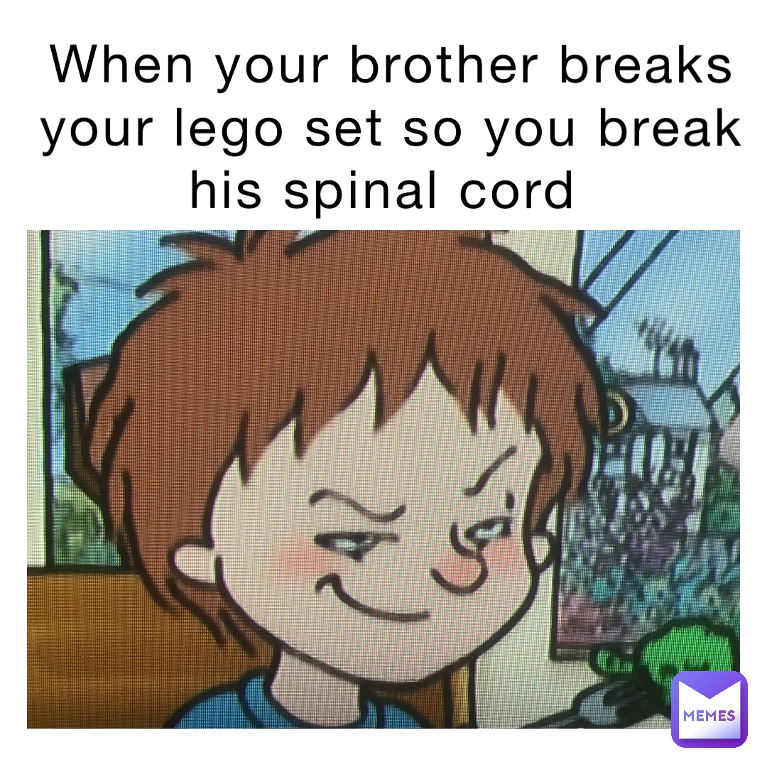 When your brother breaks your Lego set so you break his spinal cord