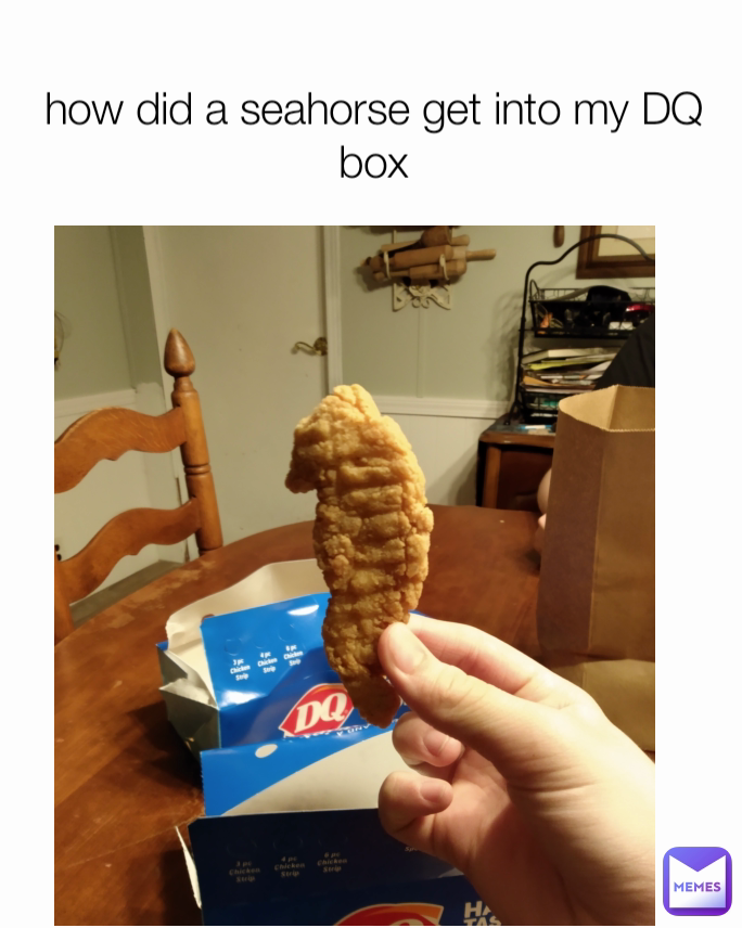 how did a seahorse get into my DQ box