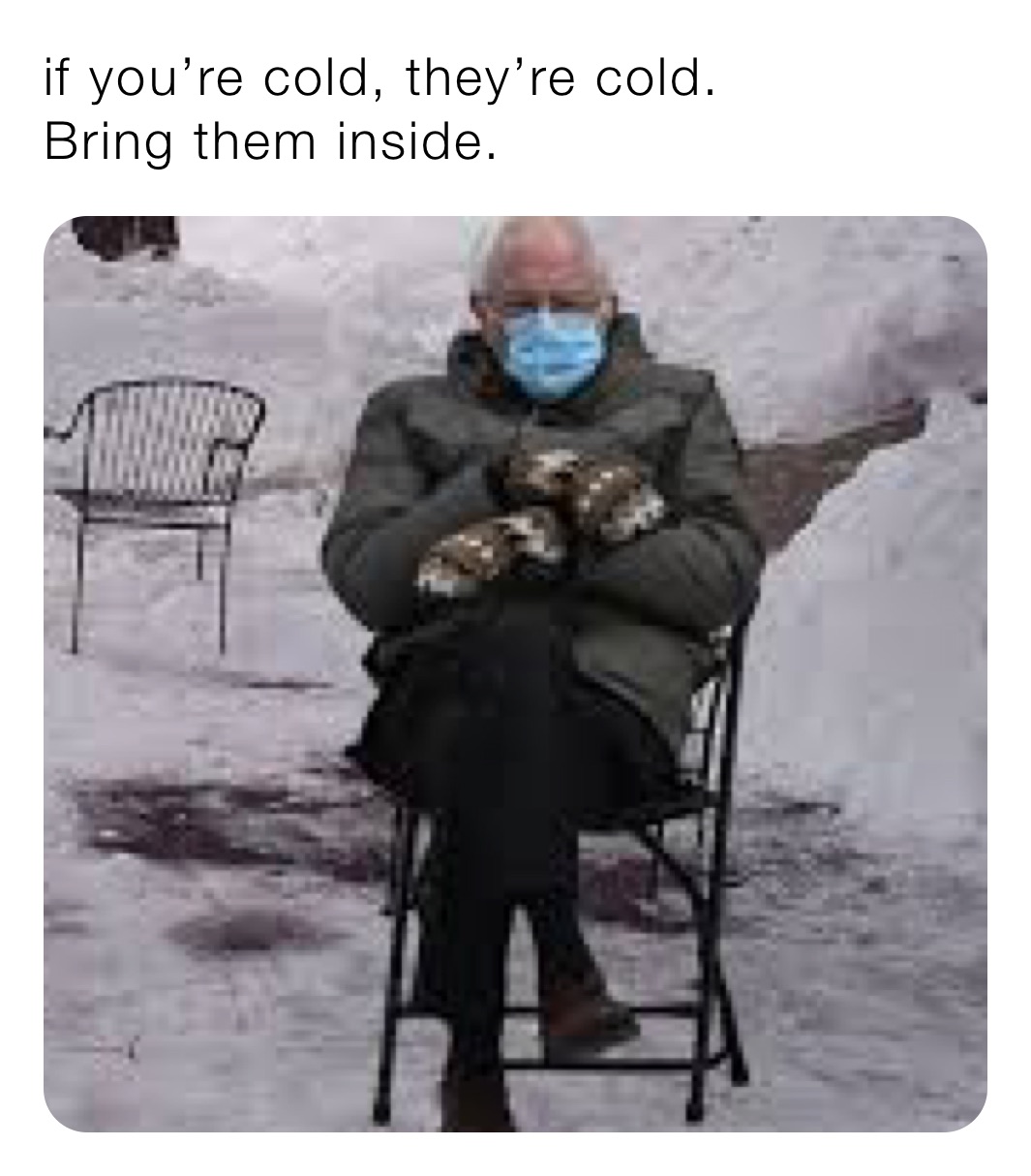 if you’re cold, they’re cold. Bring them inside. | @cosmicpink1987 | Memes