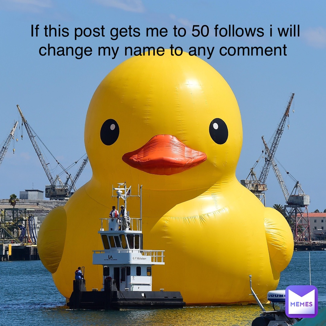 If this post gets me to 50 follows i will change my name to any comment