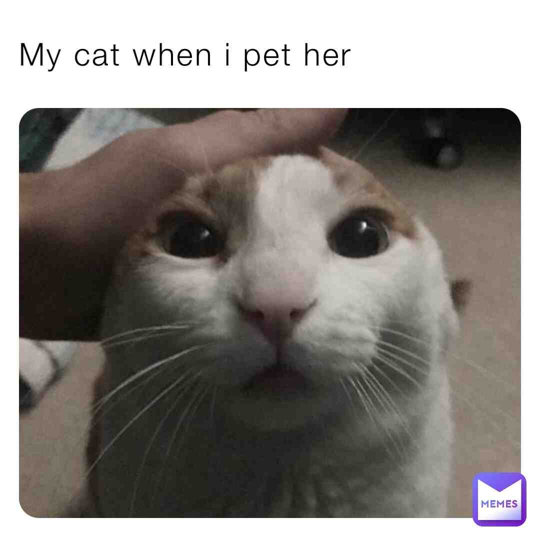 Meme shared by @cat_lady112