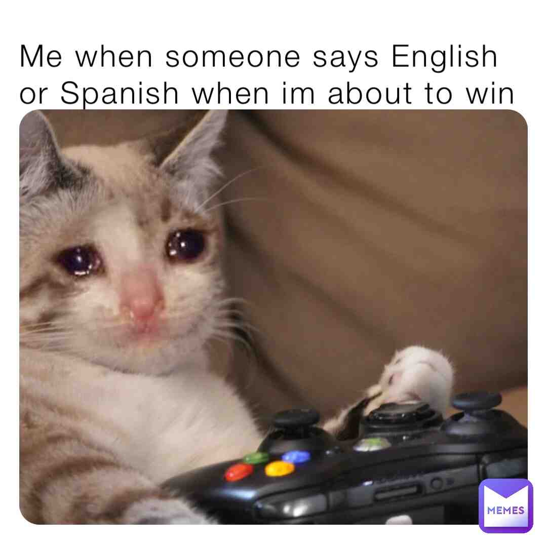 Meme preview