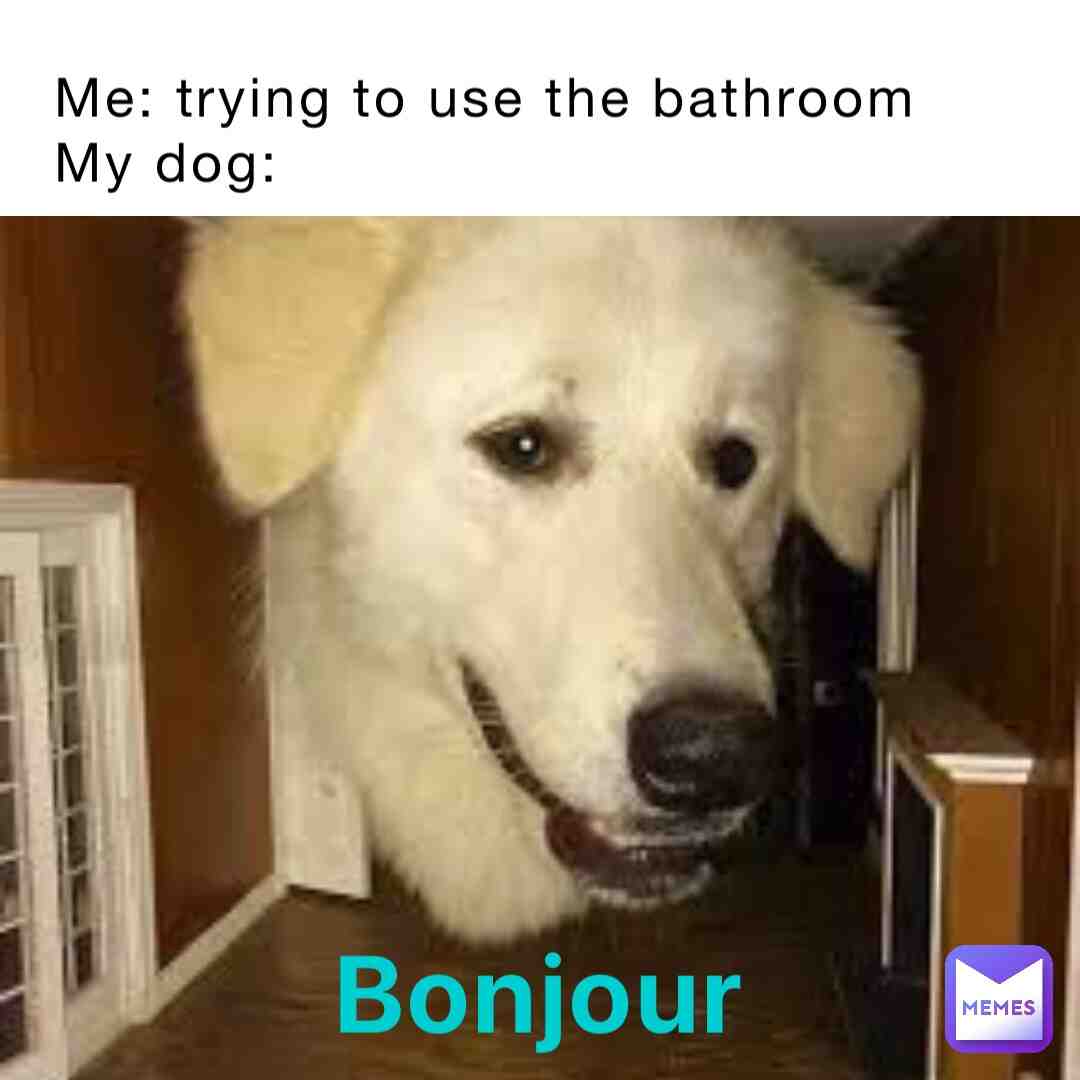 Meme preview