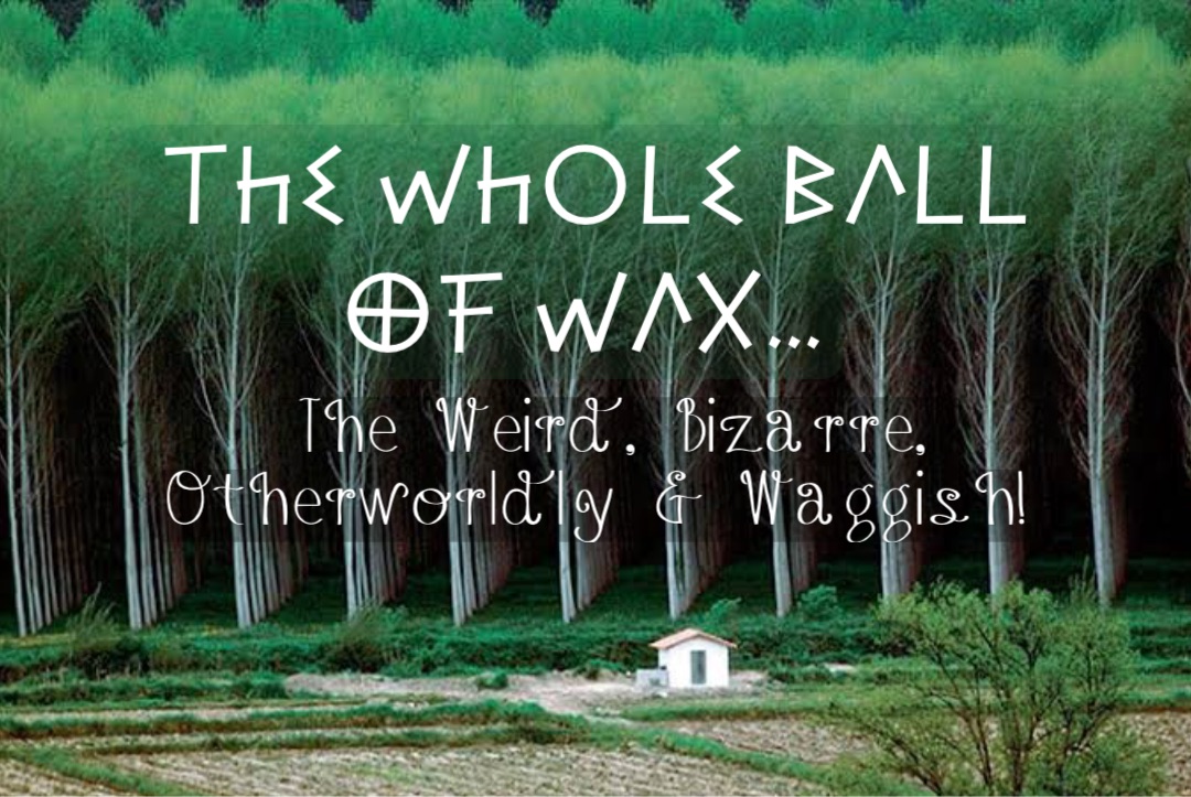 The Whole Ball Of Wax… The Weird, Bizarre, Otherworldly & Waggish