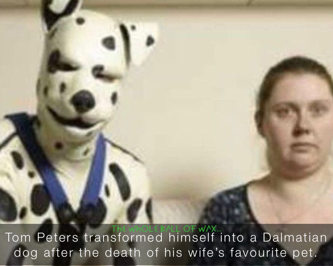 Tom Peters transformed himself into a Dalmatian dog after the death of his wife’s favourite pet.