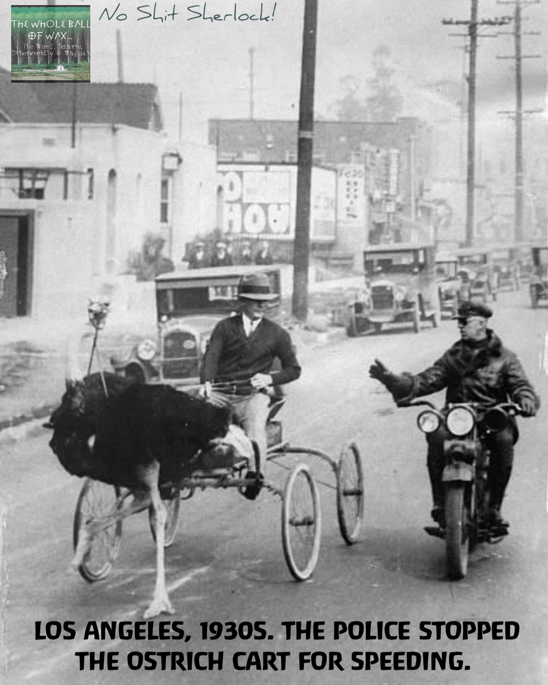 Los Angeles, 1930s. The police stopped the ostrich cart for speeding.