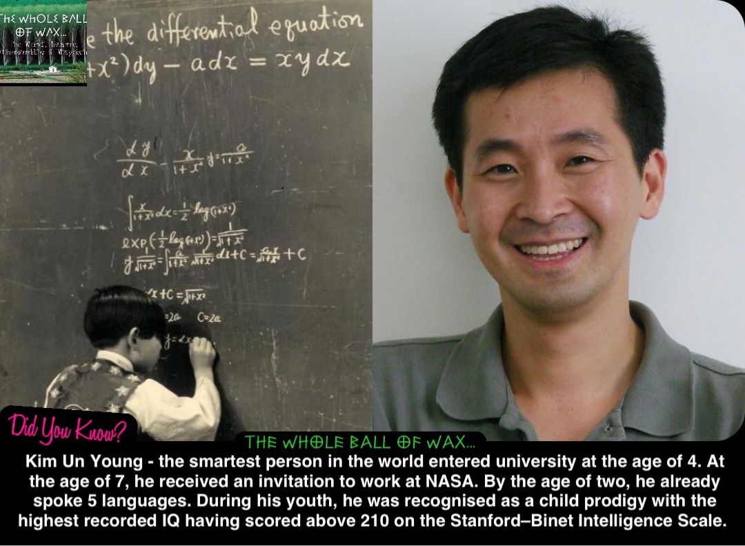 Double tap to edit Kim Un Young - the smartest person in the world entered university at the age of 4. At the age of 7, he received an invitation to work at NASA. By the age of two, he already spoke 5 languages. During his youth, he was recognised as a child prodigy with the highest recorded IQ having scored above 210 on the Stanford–Binet Intelligence Scale.