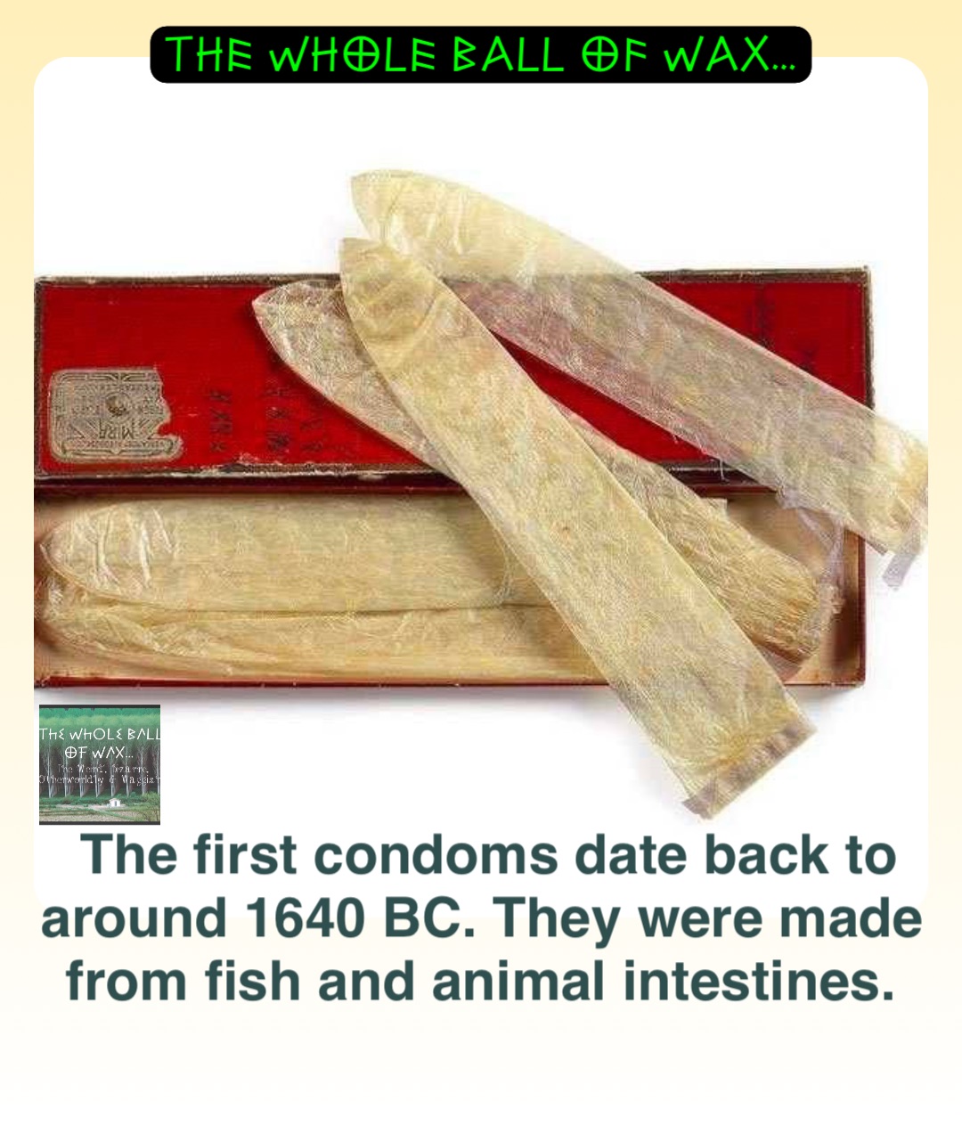 The first condoms date back to around 1640 BC. They were made from fish and animal intestines.