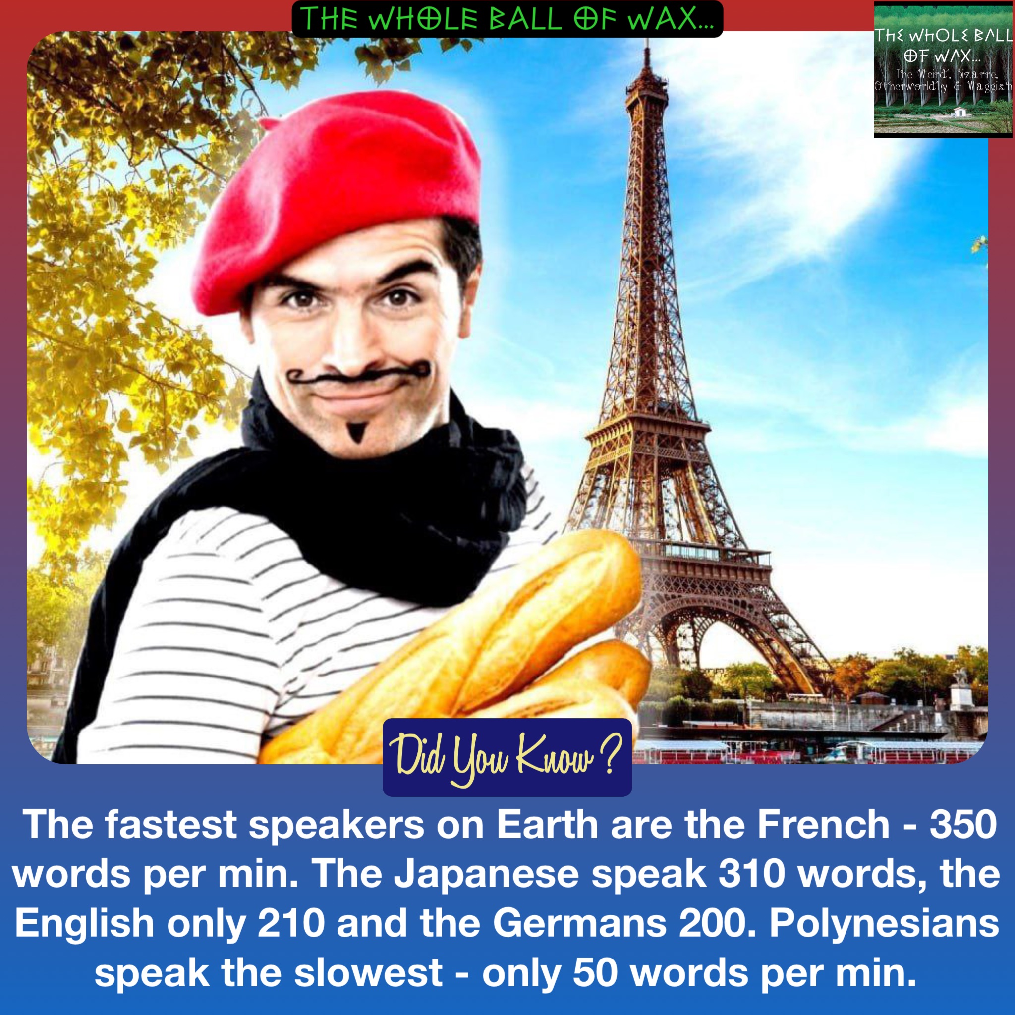 The fastest speakers on Earth are the French - 350 words per min. The Japanese speak 310 words, the English only 210 and the Germans 200. Polynesians speak the slowest - only 50 words per min.