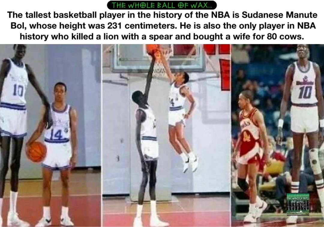 The tallest basketball player in the history of the NBA is Sudanese Manute Bol, whose height was 231 centimeters. He is also the only player in NBA history who killed a lion with a spear and bought a wife for 80 cows.