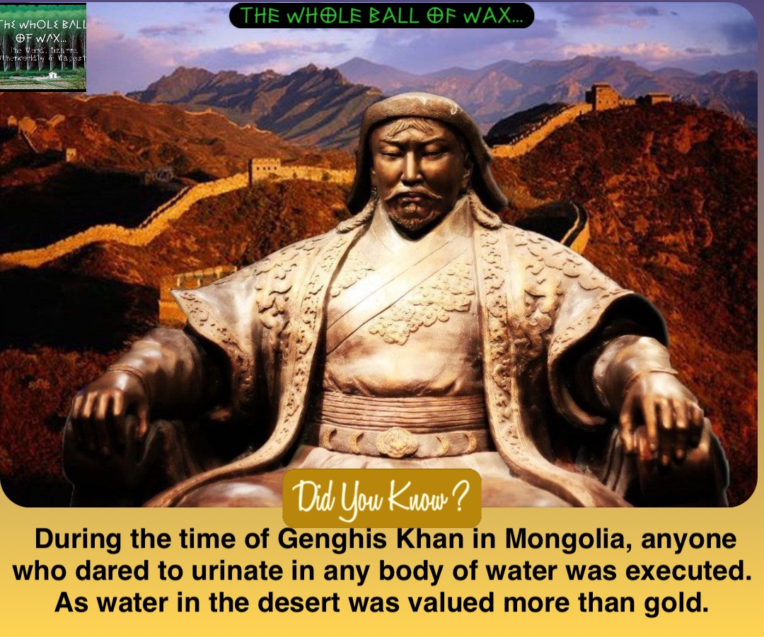 During the time of Genghis Khan in Mongolia, anyone who dared to urinate in any body of water was executed. As water in the desert was valued more than gold.