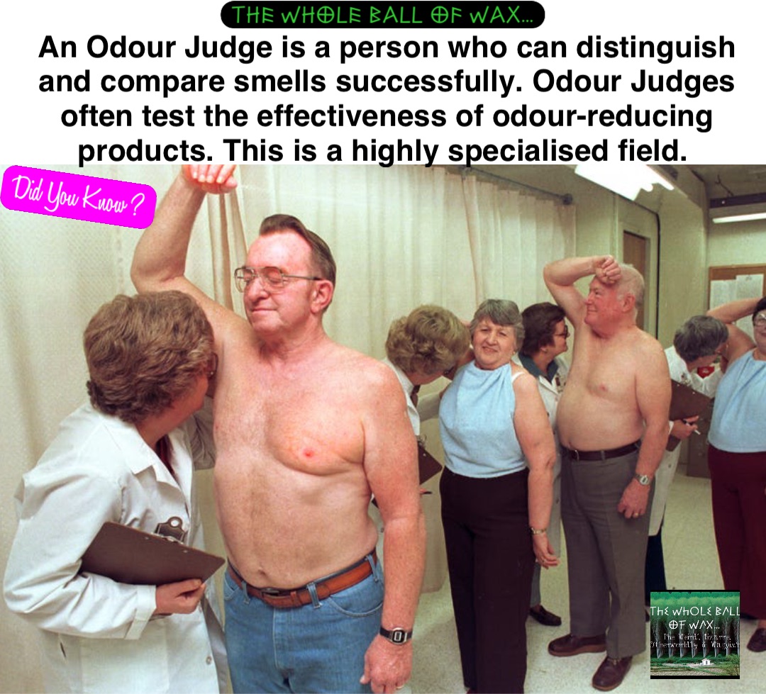 An Odour Judge is a person who can distinguish and compare smells successfully. Odour Judges often test the effectiveness of odour-reducing products. This is a highly specialised field.