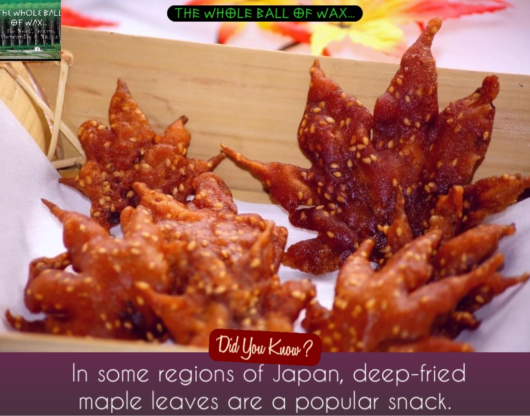 In some regions of Japan, deep-fried maple leaves are a popular snack.