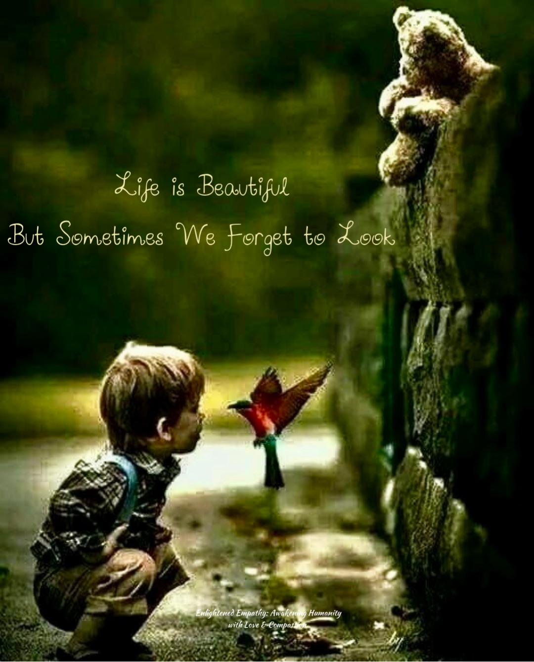 Life is Beautiful
But Sometimes We Forget to Look