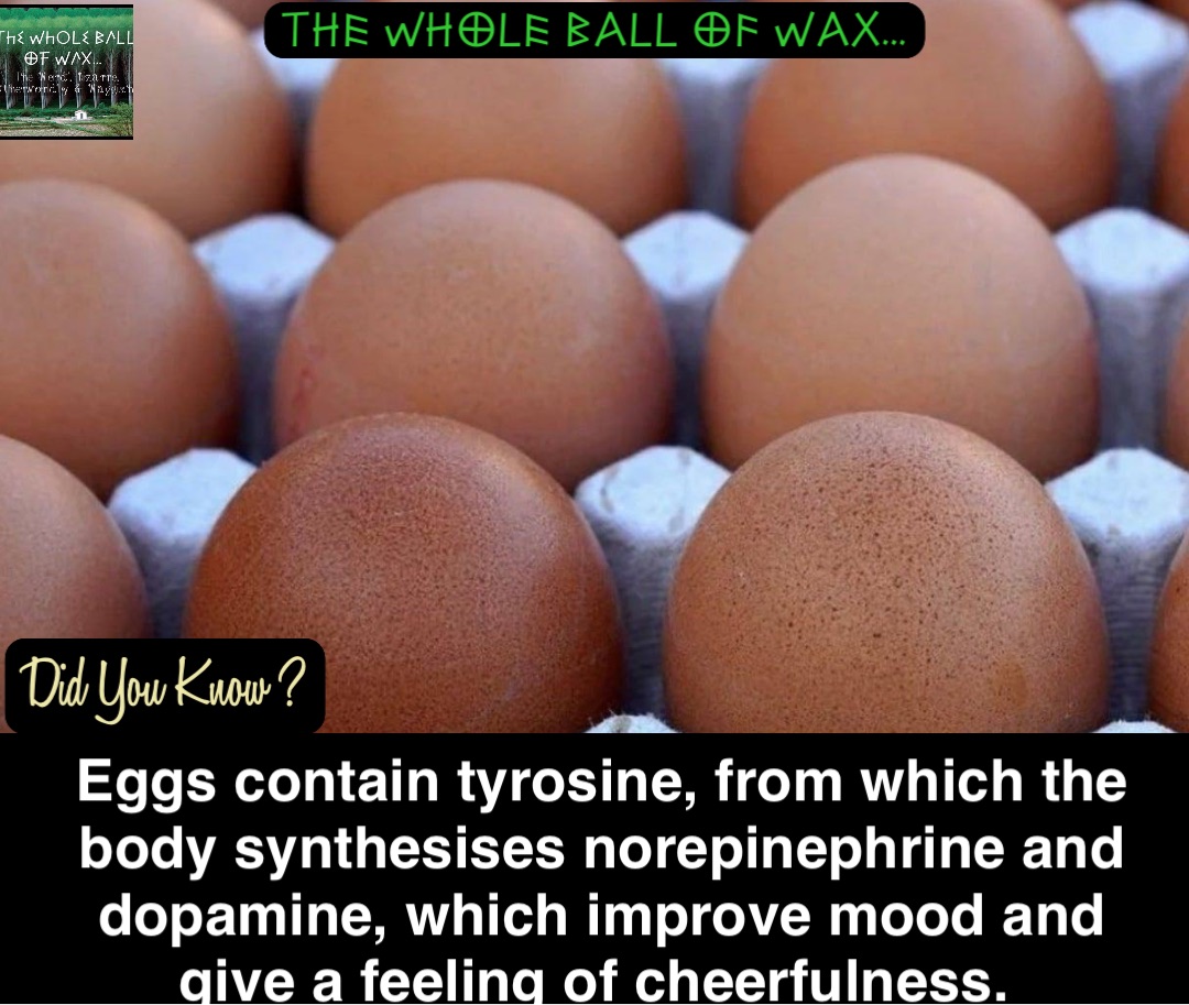 Eggs contain tyrosine, from which the body synthesises norepinephrine and dopamine, which improve mood and give a feeling of cheerfulness.