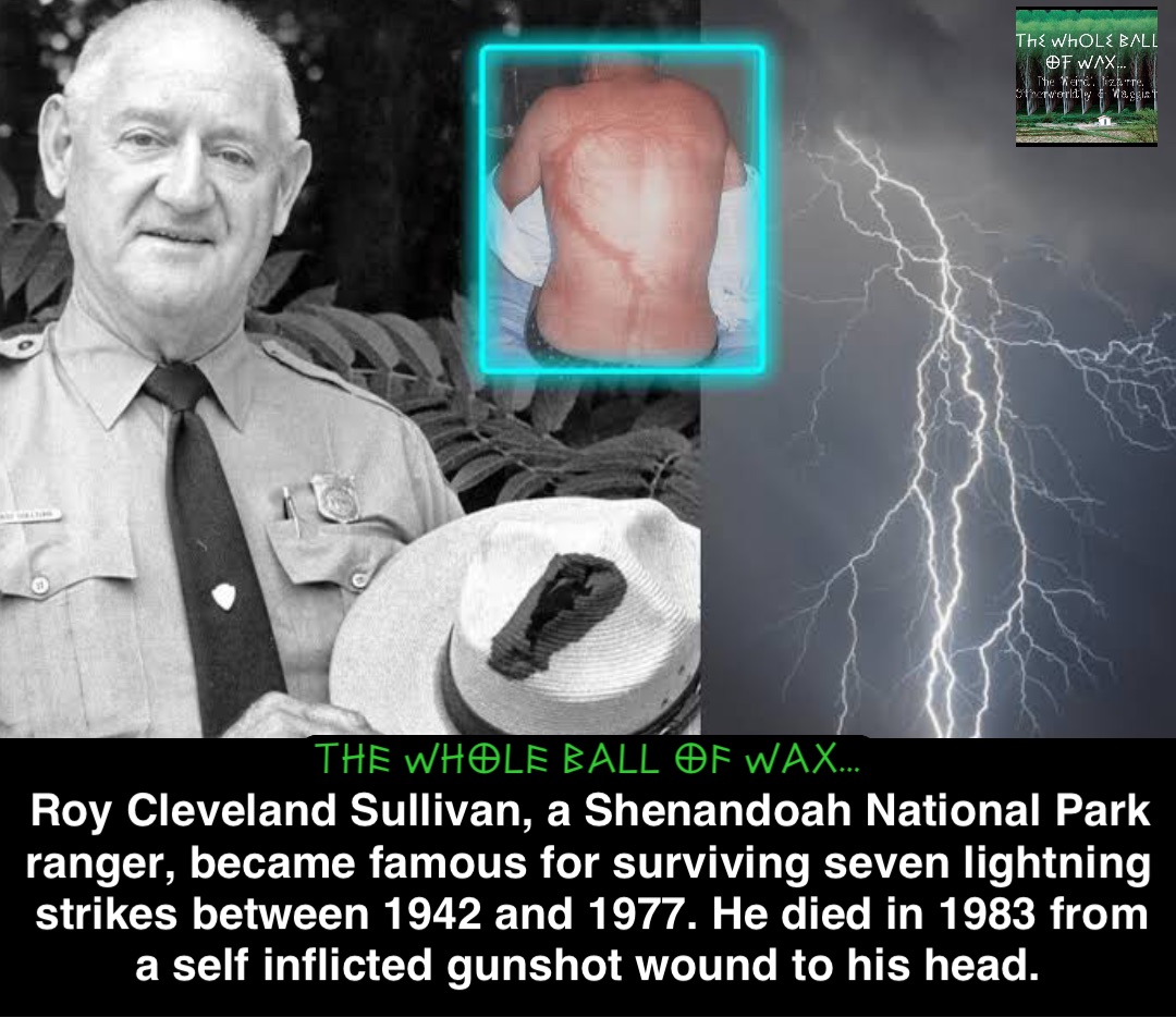 Double tap to edit Roy Cleveland Sullivan, a Shenandoah National Park ranger, became famous for surviving seven lightning strikes between 1942 and 1977. He died in 1983 from a self inflicted gunshot wound to his head.