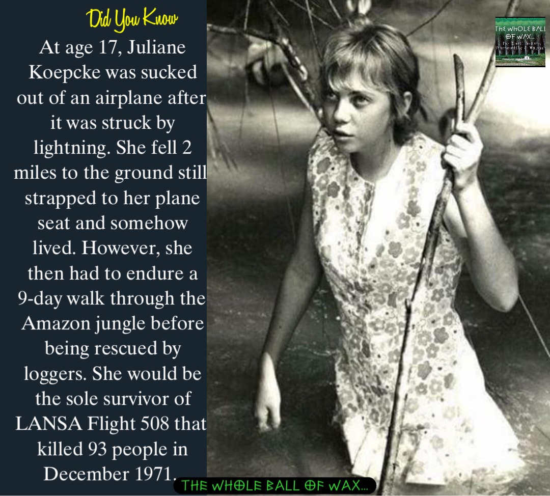 Double tap to edit At age 17, Juliane Koepcke was sucked out of an airplane after it was struck by lightning. She fell 2 miles to the ground still strapped to her plane seat and somehow lived. However, she then had to endure a 
9-day walk through the Amazon jungle before being rescued by loggers. She would be the sole survivor of LANSA Flight 508 that killed 93 people in December 1971.