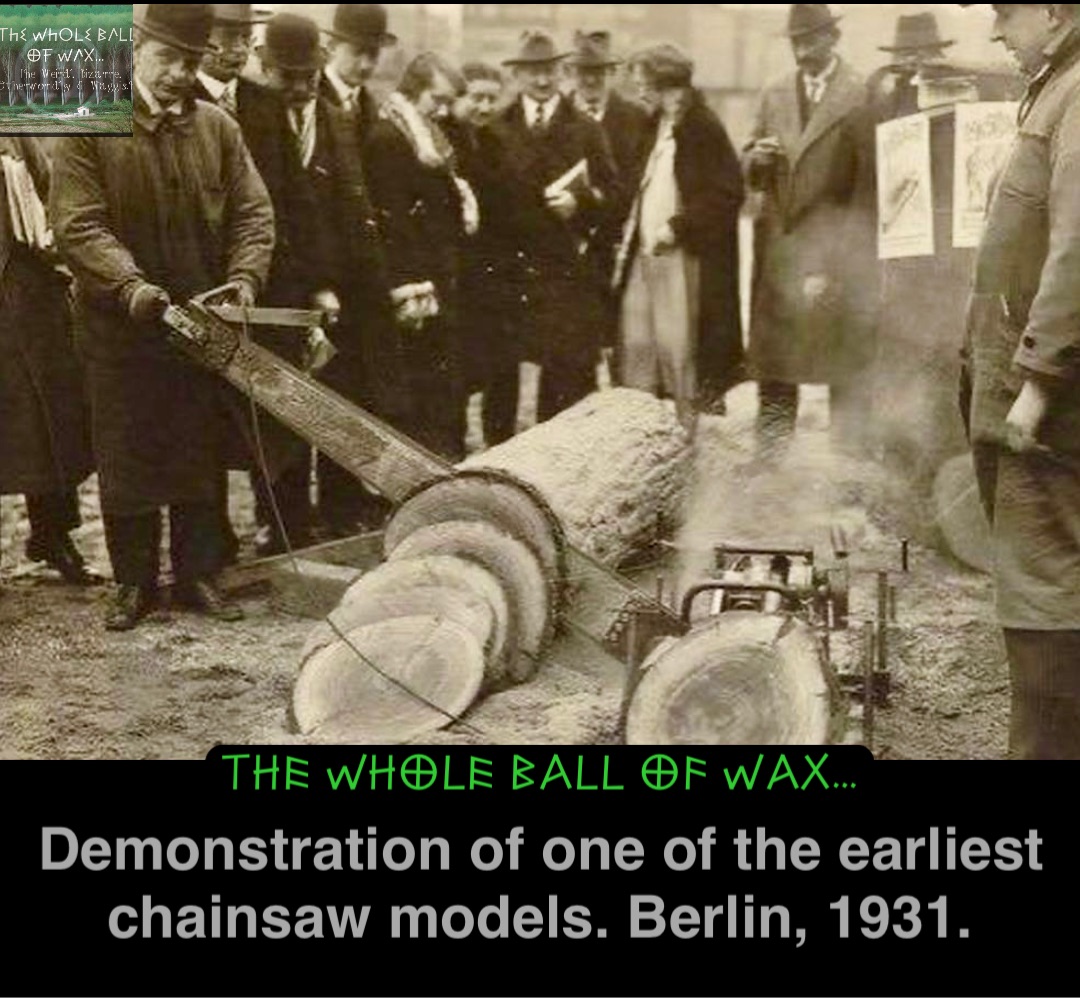 Double tap to edit Demonstration of one of the earliest chainsaw models. Berlin, 1931.