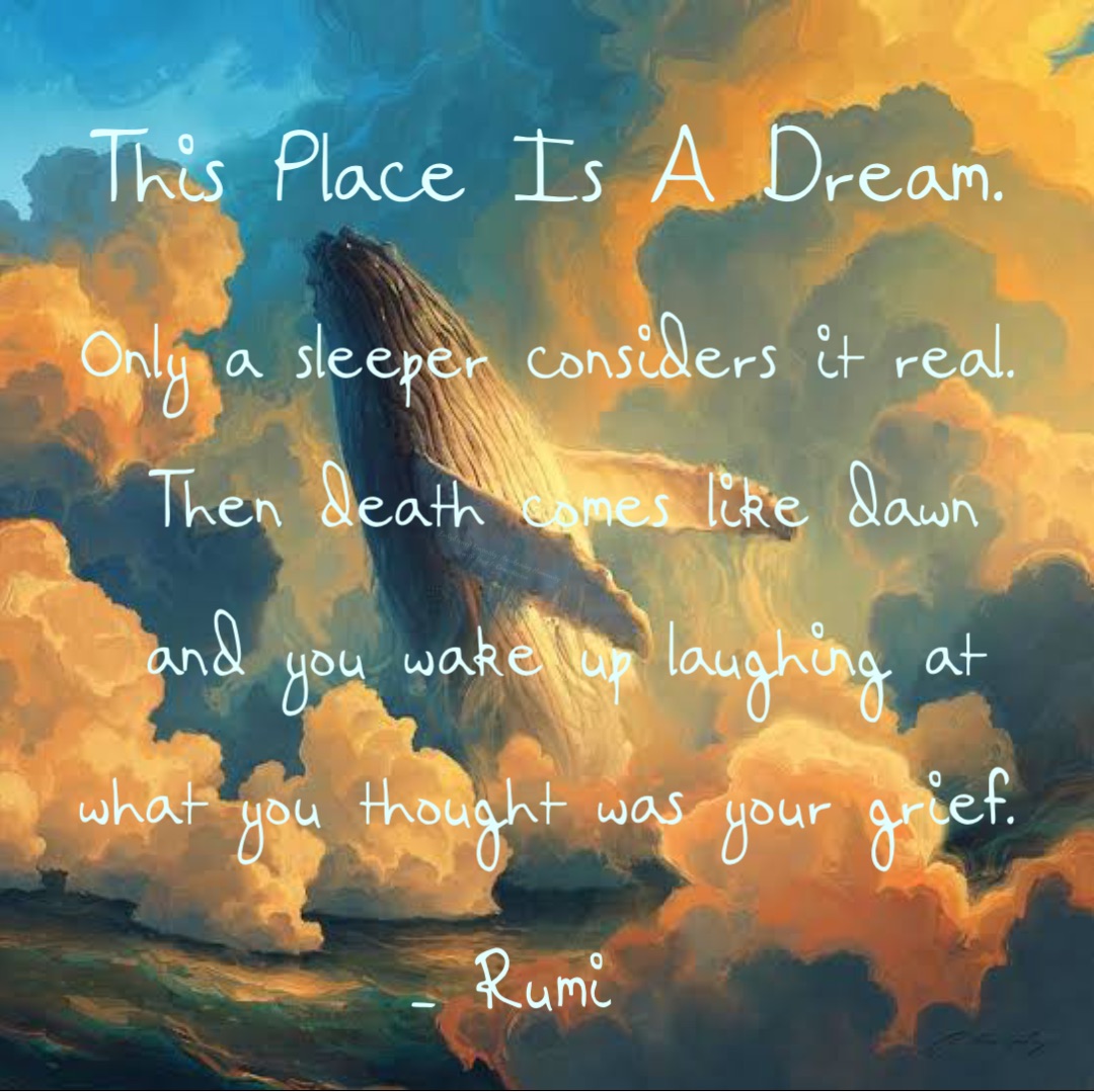 Only a sleeper considers it real. Then death comes like dawn and you wake up laughing at what you thought was your grief. This Place Is A Dream. - Rumi