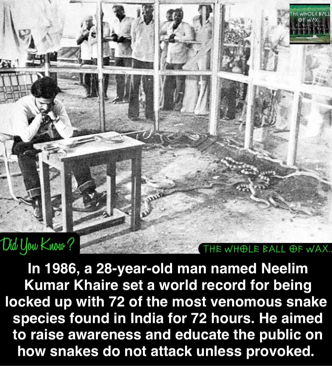 Double tap to edit In 1986, a 28-year-old man named Neelim Kumar Khaire set a world record for being locked up with 72 of the most venomous snake species found in India for 72 hours. He aimed to raise awareness and educate the public on how snakes do not attack unless provoked.