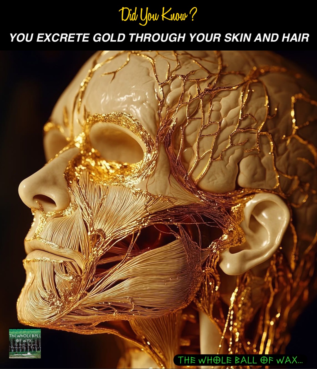 Double tap to edit You Excrete Gold Through Your Skin and Hair