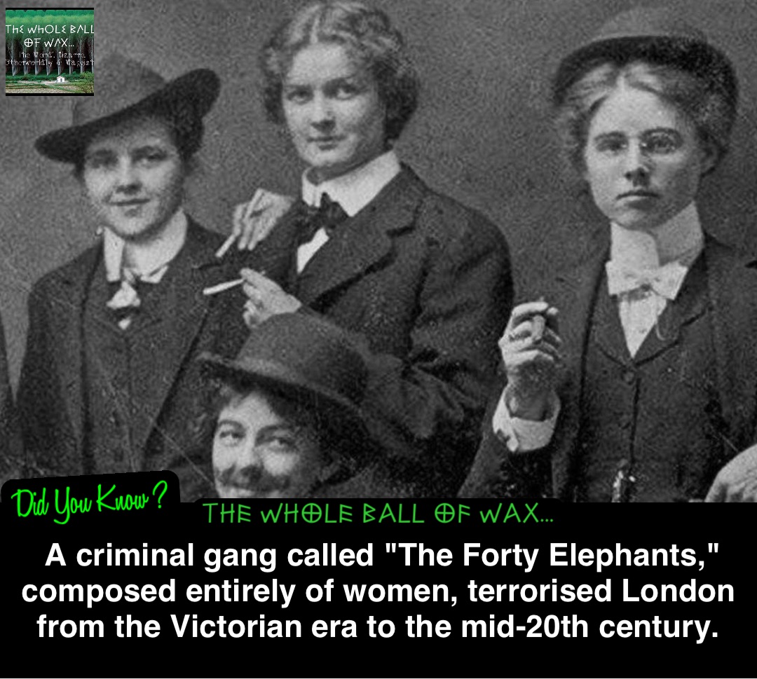 Double tap to edit A criminal gang called "The Forty Elephants," composed entirely of women, terrorised London from the Victorian era to the mid-20th century.