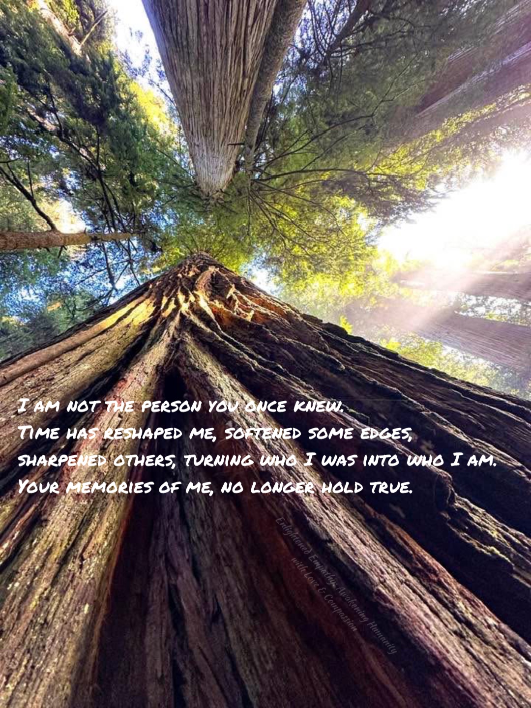 I am not the person you once knew.
Time has reshaped me, softened some edges, sharpened others, turning who I was into who I am.
Your memories of me, no longer hold true.