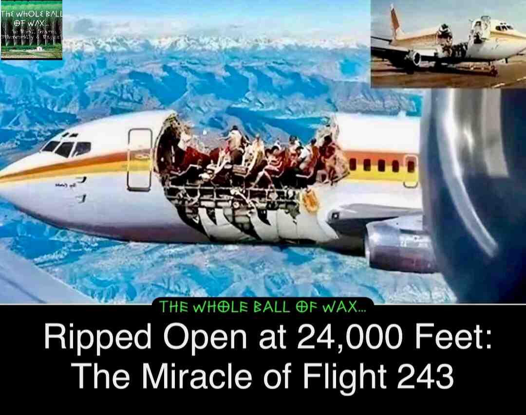 In 1988, one of aviation\\u2019s most harrowing incidents unfolded mid-flight aboard Aloha Airlines Flight 243. A Boeing 737 suffered a sudden and explosive loss of cabin pressure when a large section of its upper fuselage tore away\\u2014leaving passengers exposed to the open sky at 24,000 feet.
Amid the chaos, the flight crew remained remarkably composed. With part of the aircraft ripped apart, the pilot managed to keep control and safely land the crippled plane just 13 minutes after the rupture. Their calm, decisive actions under extreme pressure saved dozens of lives and earned widespread admiration.
Tragically, flight attendant Clarabelle \\u201cC.B.\\u201d Lansing was swept from the aircraft during the explosive decompression. She was the only fatality. Her dedication in the face of unimaginable danger became a lasting symbol of courage.
Astonishingly, all other passengers and crew survived\\u2014an outcome credited to the aircraft\\u2019s design and the extraordinary professionalism of the crew. The story later inspired the television film Flight 243: Emergency Landing, which paid tribute to the resilience, loss, and heroism that defined that flight.
More than three decades later, Flight 243 remains a powerful reminder of the unpredictable dangers of air travel\\u2014and the strength of the human spirit when everything is on the line.
#AlohaFlight243 #AviationHistory #Flight243 #TrueStory #AirDisaster #PilotHeroism #CabinCrewHeroes #ClarabelleLansing #FlightSafety #AviationMiracle #EmergencyLanding #RealLifeHeroes #AirTravelHistory #SurvivalStory #AviationTribute