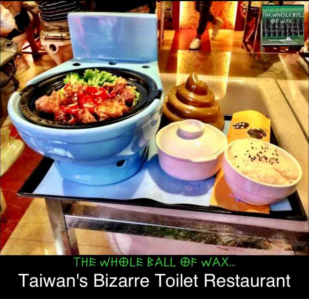 Taiwan\u2019s Bizarre Toilet Restaurant
In Taiwan, diners can enjoy a bizarre toilet themed experience, sitting on toilet seats, eating from miniature toilet bowls, drinking from urinal shaped cups and finishing with poop shaped ice cream.
 #Taiwan  #WeirdFacts  #FoodFacts  #AmazingFacts