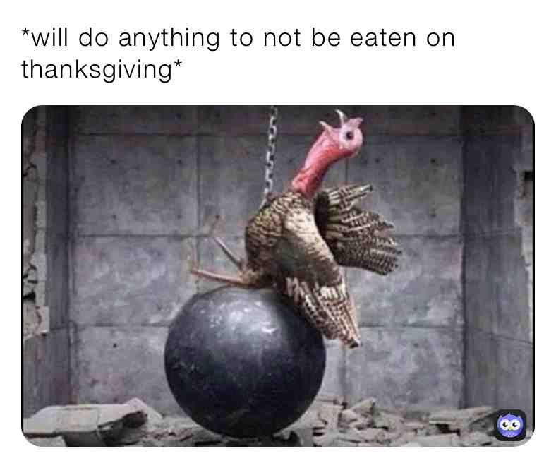 smh. turkeys these days.\ud83e\udd83
#thanksgiving #memes #kek