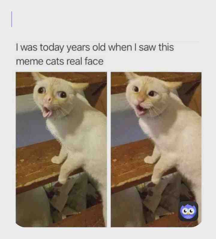 same😳