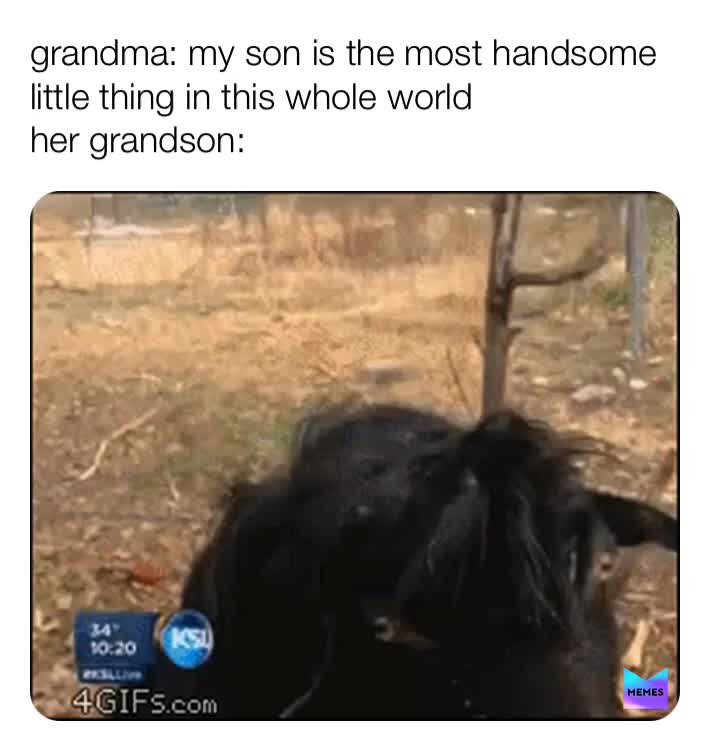 #pop  #kekmemes  #kek  #shrekislife  #donkey  #grandma  #grandson  #coronapocalypse