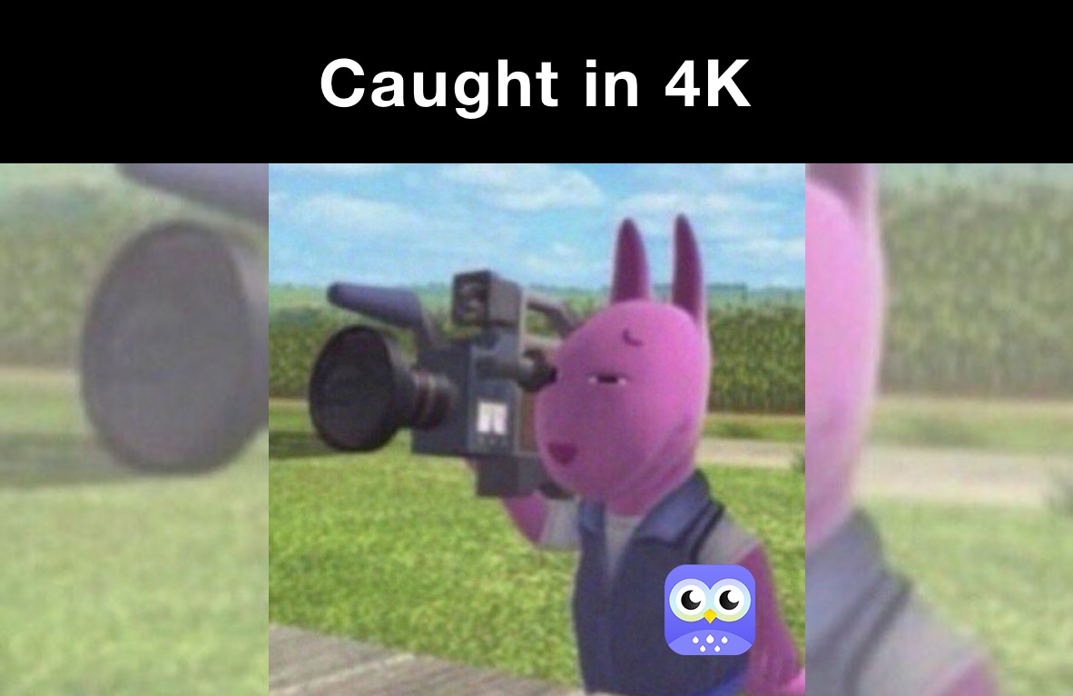 Caught in 4K
