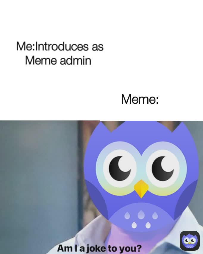 Me:Introduces as Meme admin  Meme: