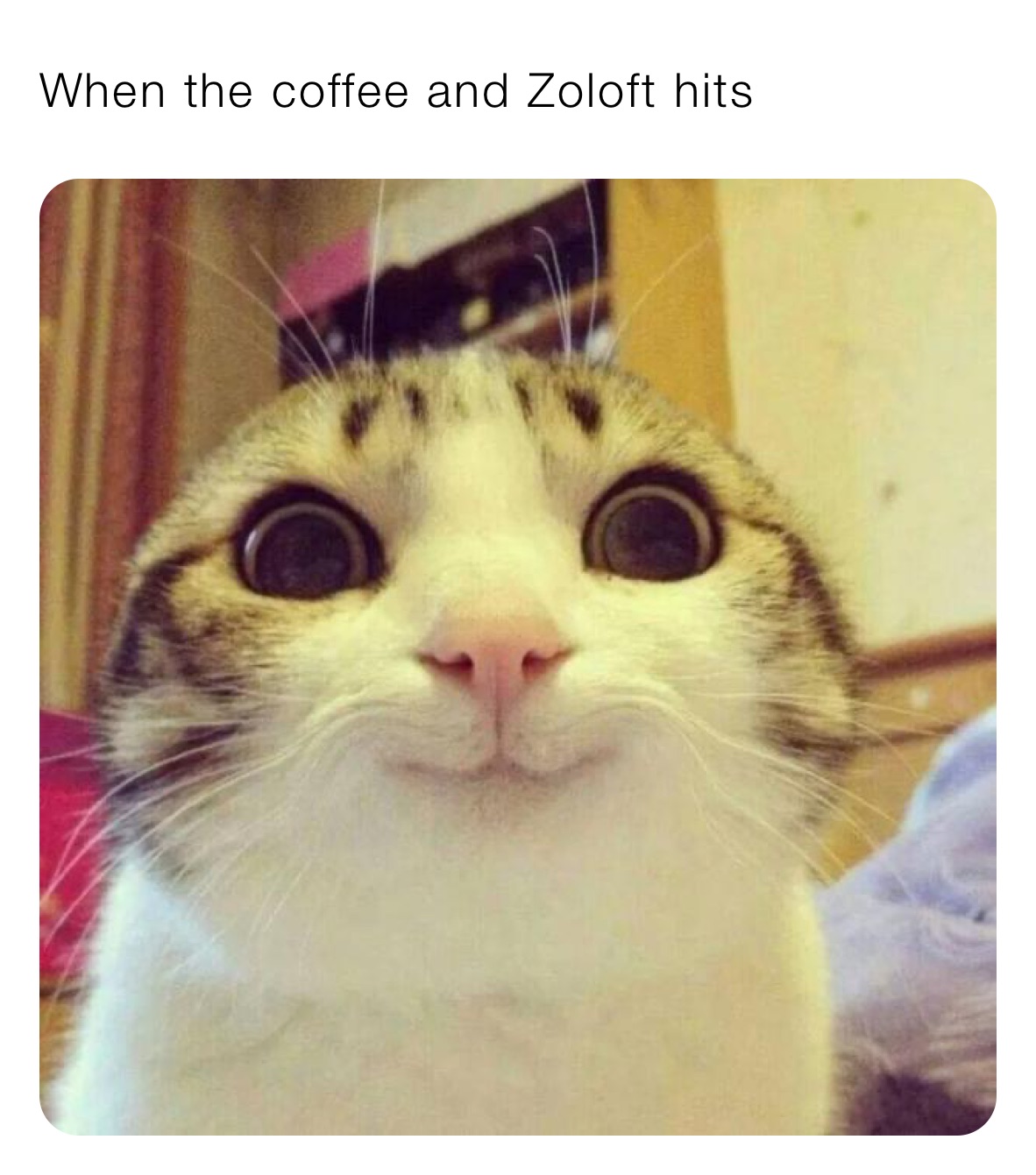 When the coffee and Zoloft hits