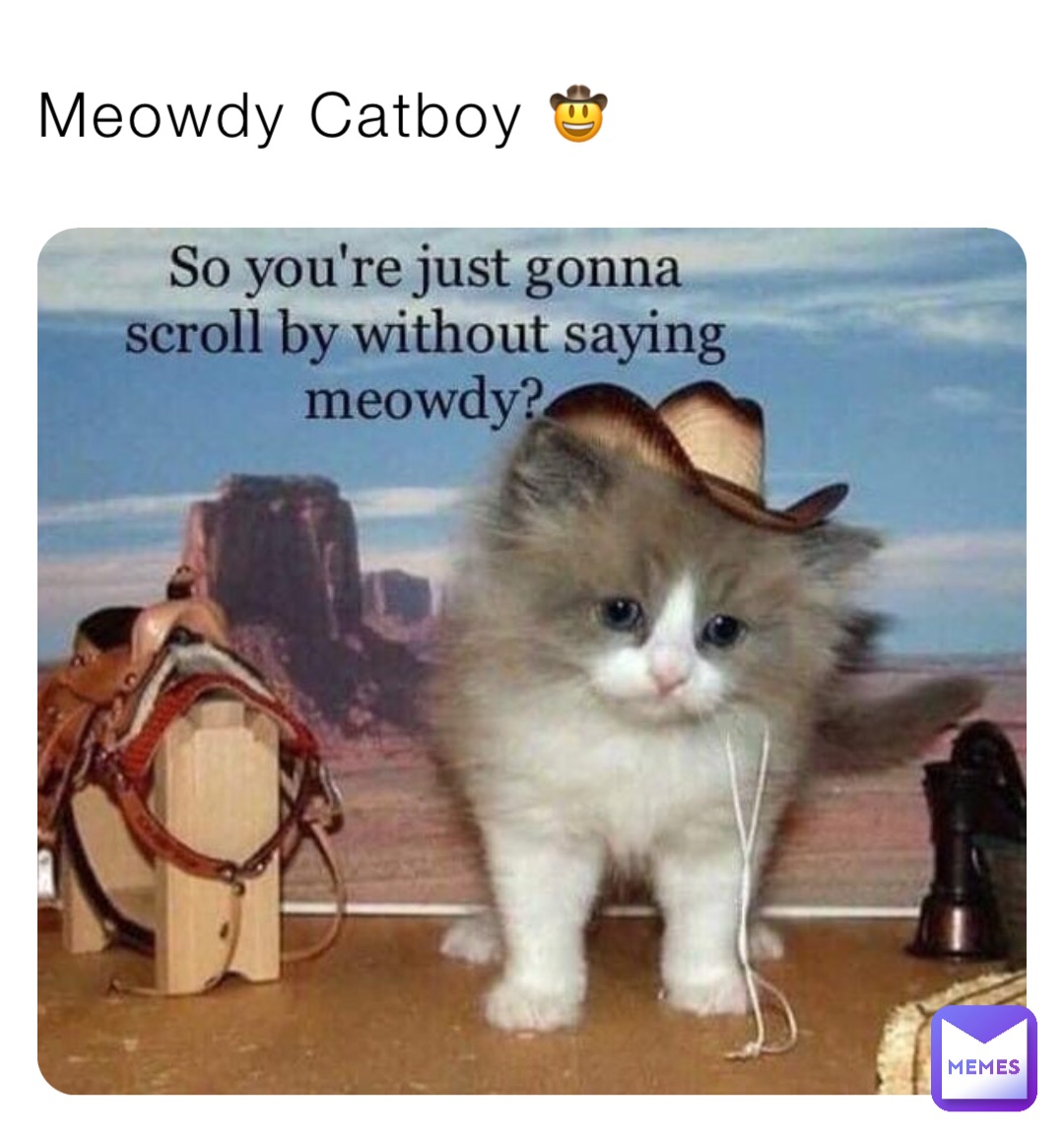 Meowdy Catboy 🤠