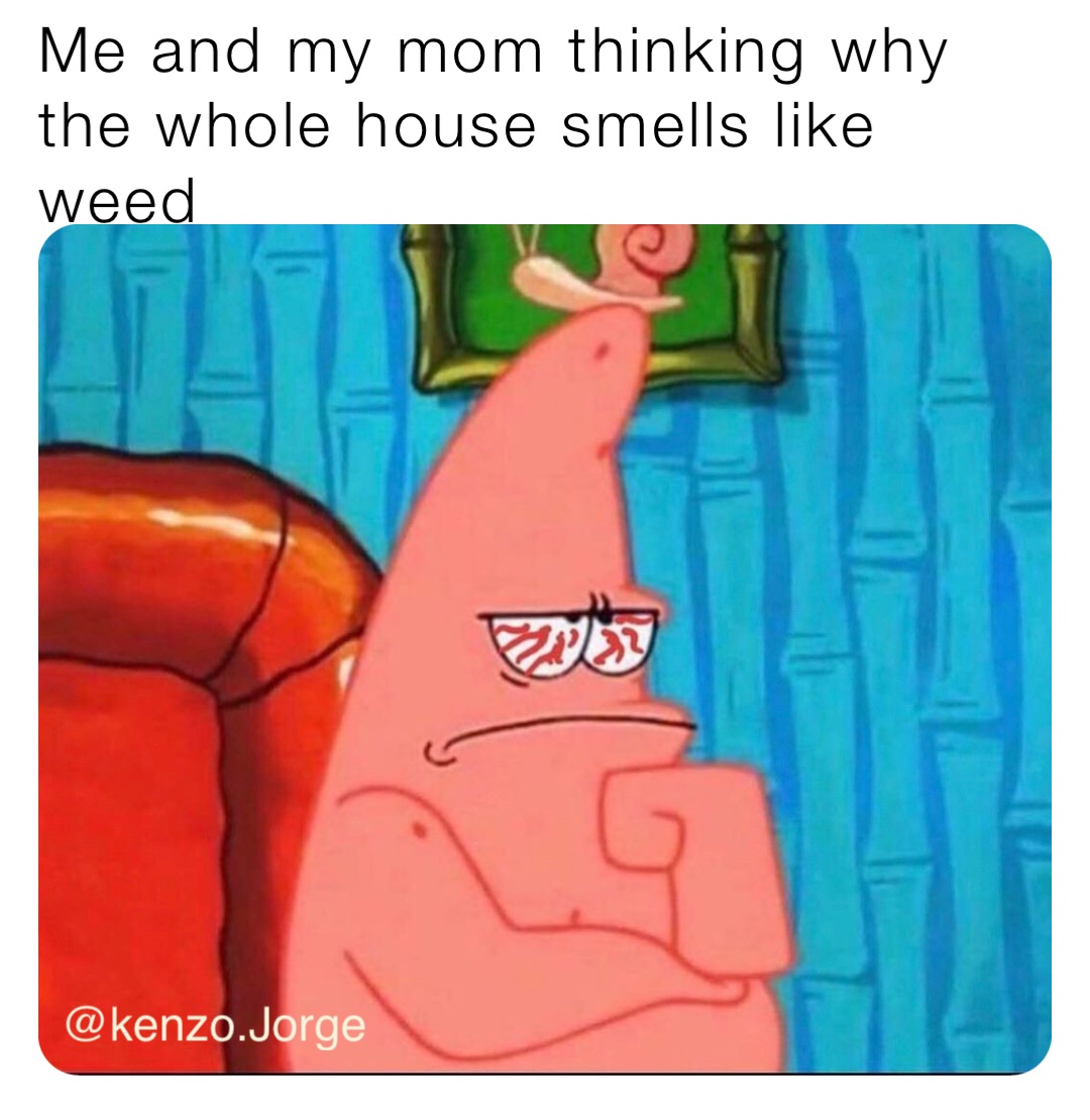 Me and my mom thinking why the whole house smells like weed @kenzo.Jorge