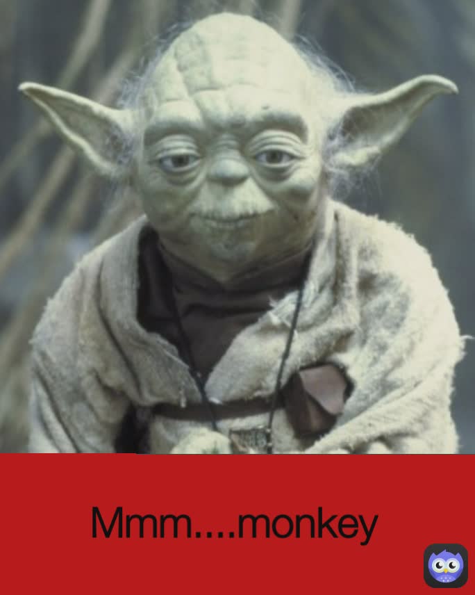 Mmm....monkey