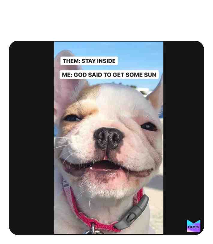 ​ #memes ​ #laughter ​ #jokes ​ #fun ​ #comedy ​ #freinds  ​ #doglover ​Dogs  #lover