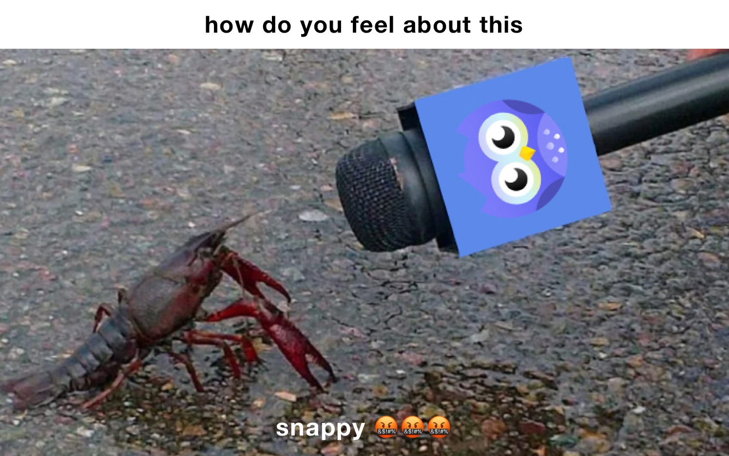 Meme by dragi.prespanoski