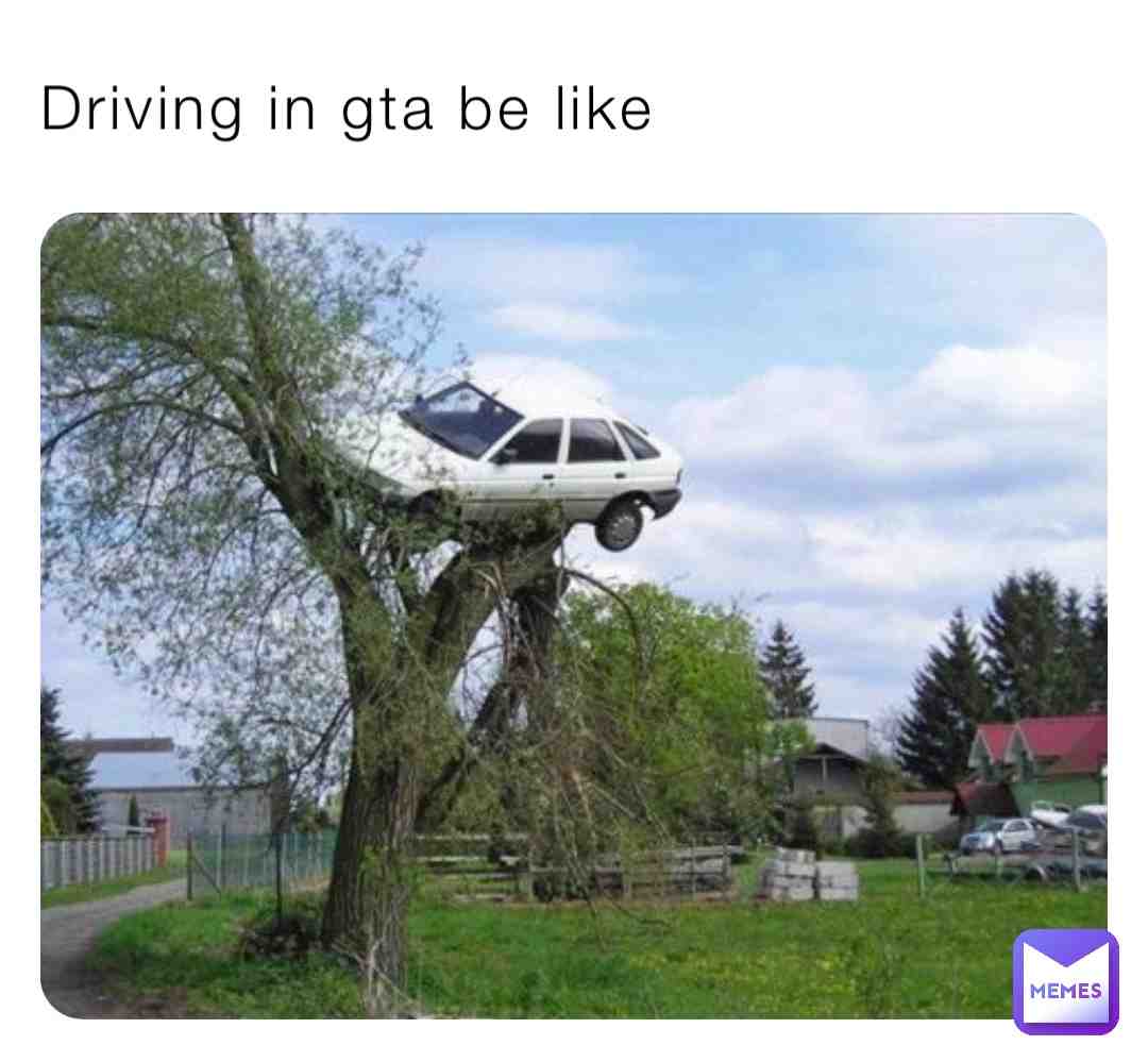 #meme #funny #cargofly #poortree #gta #cargovroom