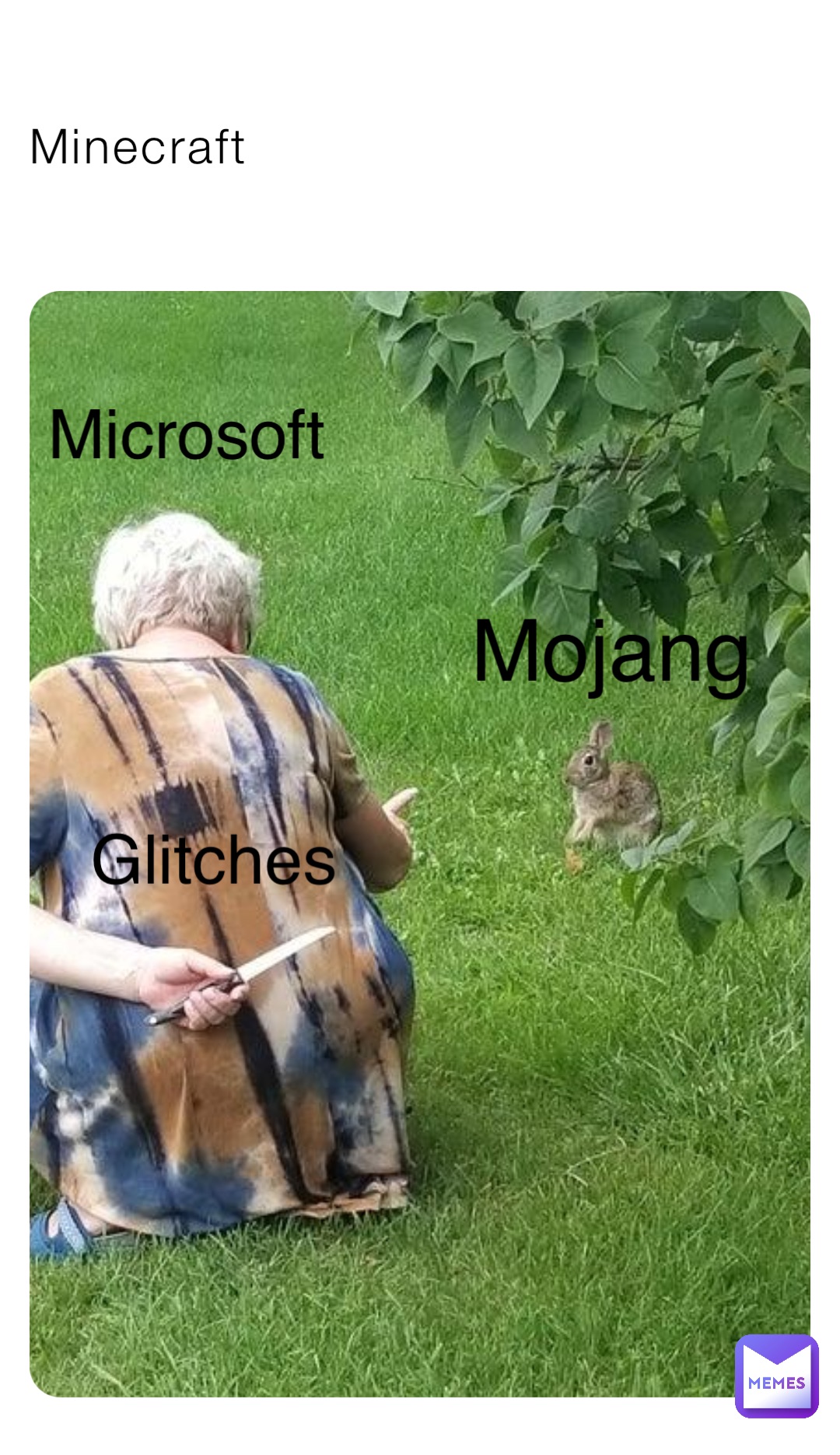 Minecraft Mojang Microsoft Glitches