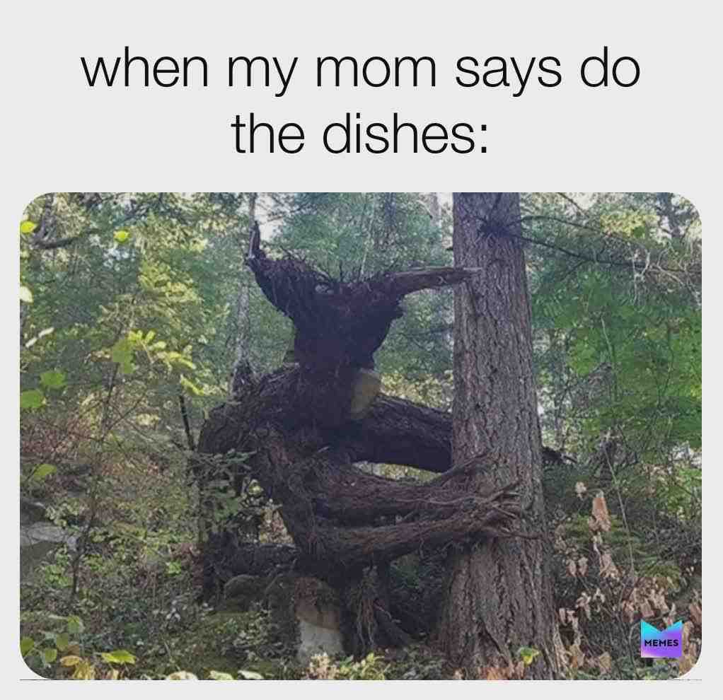 Meme shared by @ya_boi_dan