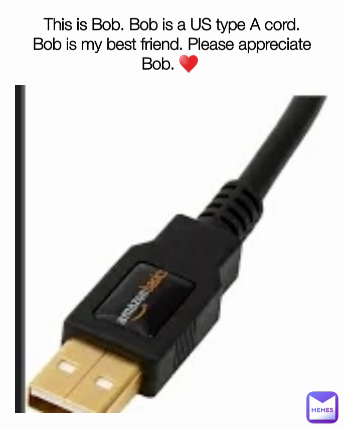 This is Bob. Bob is a US type A cord.
Bob is my best friend. Please appreciate Bob. ♥ 