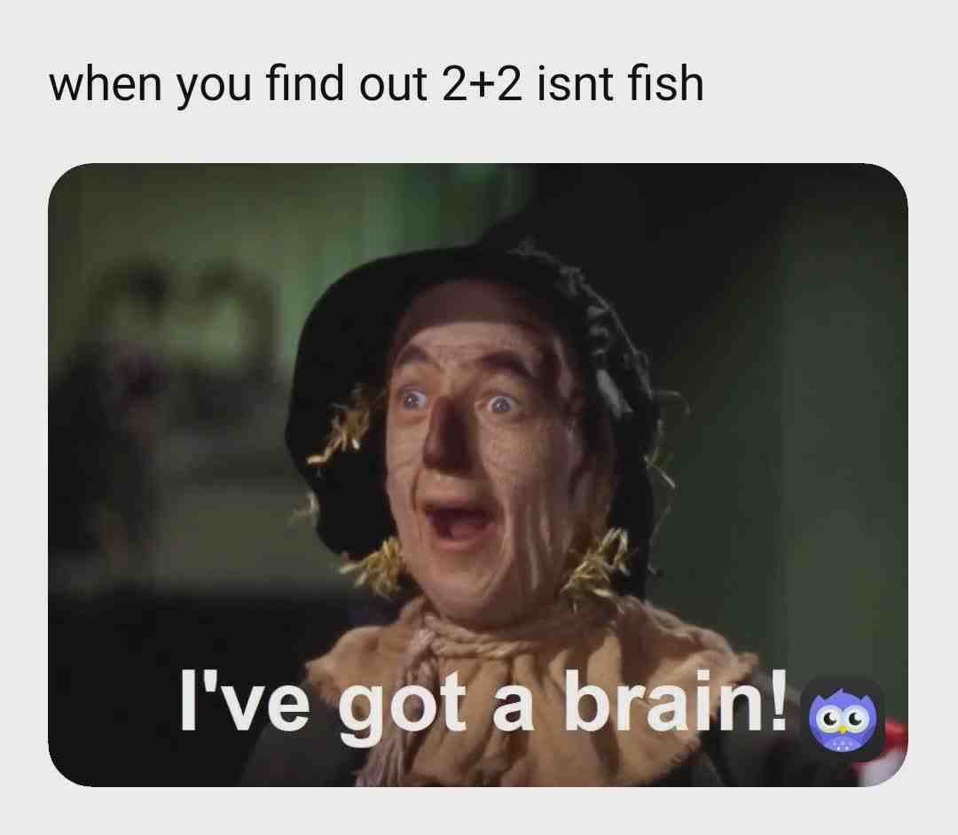 lol the 2+2=fish part was actually a meme so 2 memes in 1
