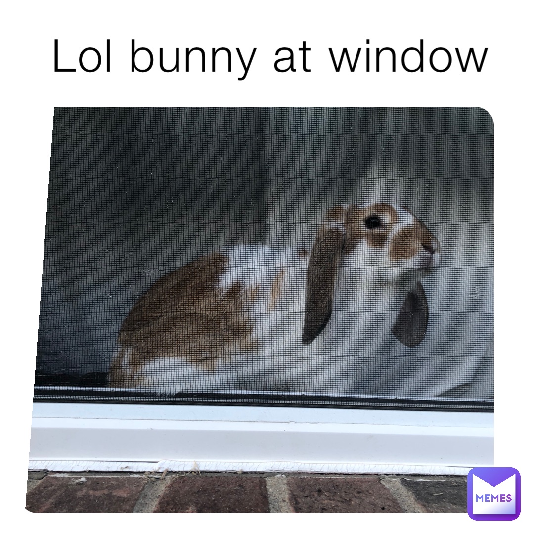 Meme by fightingbeast007